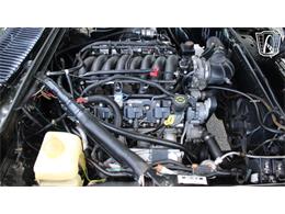 1985 Jaguar XJS (CC-2101117) for sale in Lake Mary, Florida
