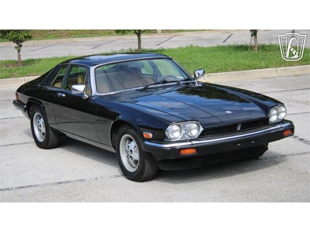 1985 Jaguar XJS (CC-2101117) for sale in Lake Mary, Florida