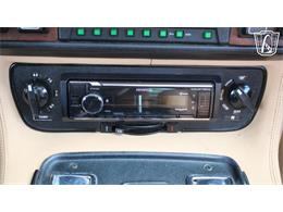1985 Jaguar XJS (CC-2101117) for sale in Lake Mary, Florida