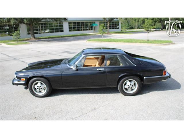1985 Jaguar XJS (CC-2101117) for sale in Lake Mary, Florida