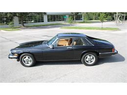 1985 Jaguar XJS (CC-2101117) for sale in Lake Mary, Florida