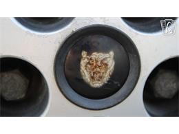 1985 Jaguar XJS (CC-2101117) for sale in Lake Mary, Florida