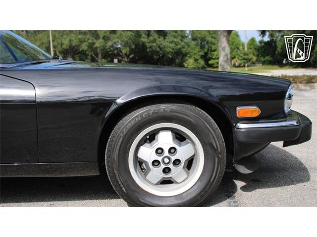 1985 Jaguar XJS (CC-2101117) for sale in Lake Mary, Florida