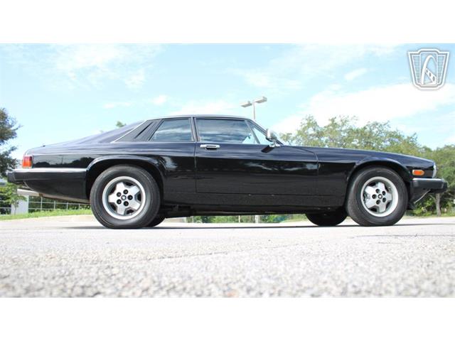 1985 Jaguar XJS (CC-2101117) for sale in Lake Mary, Florida