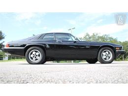 1985 Jaguar XJS (CC-2101117) for sale in Lake Mary, Florida