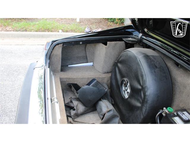 1985 Jaguar XJS (CC-2101117) for sale in Lake Mary, Florida