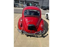 1967 Volkswagen Beetle (CC-2101126) for sale in Cadillac, Michigan