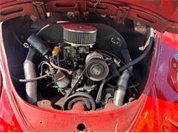 1967 Volkswagen Beetle (CC-2101126) for sale in Cadillac, Michigan