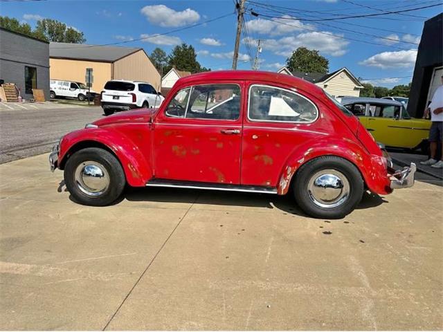 1967 Volkswagen Beetle (CC-2101126) for sale in Cadillac, Michigan