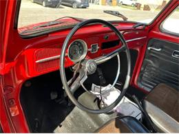 1967 Volkswagen Beetle (CC-2101126) for sale in Cadillac, Michigan