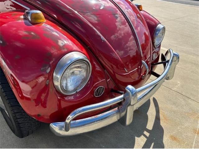 1967 Volkswagen Beetle (CC-2101126) for sale in Cadillac, Michigan