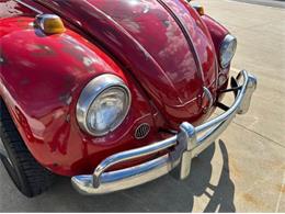 1967 Volkswagen Beetle (CC-2101126) for sale in Cadillac, Michigan