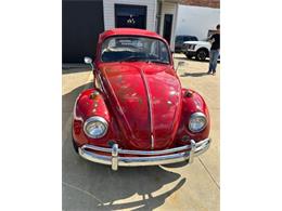 1967 Volkswagen Beetle (CC-2101126) for sale in Cadillac, Michigan