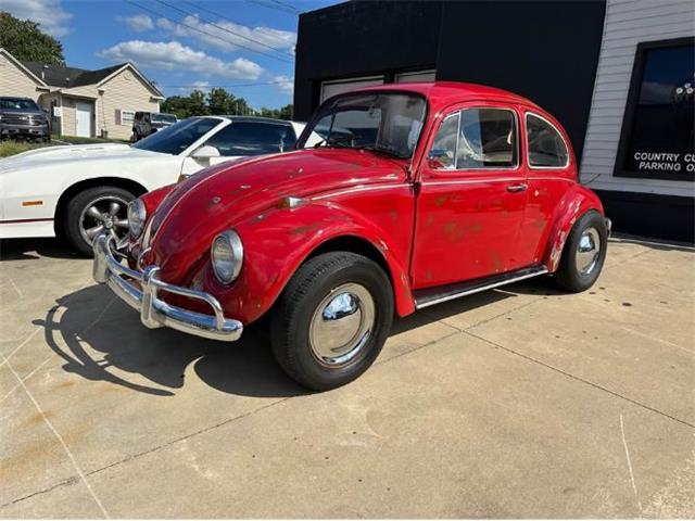 1967 Volkswagen Beetle (CC-2101126) for sale in Cadillac, Michigan