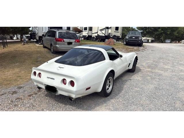 1980 Chevrolet Corvette (CC-2101132) for sale in Cadillac, Michigan