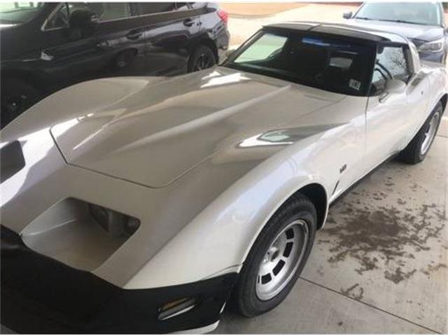 1980 Chevrolet Corvette (CC-2101132) for sale in Cadillac, Michigan