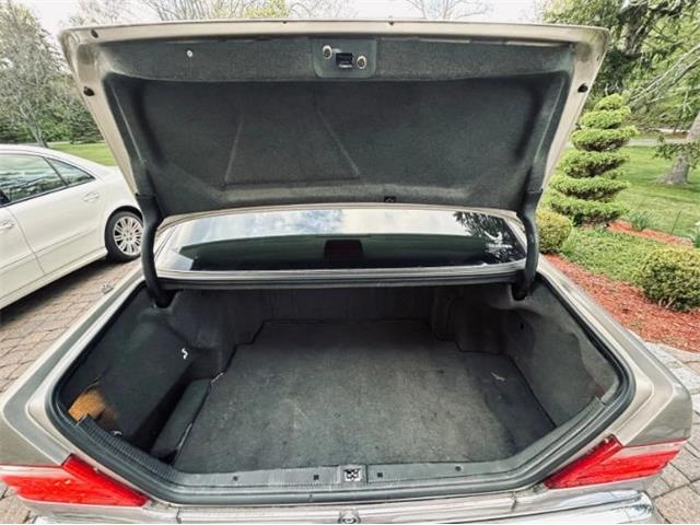 1998 Mercedes-Benz S420 (CC-2101134) for sale in Cadillac, Michigan