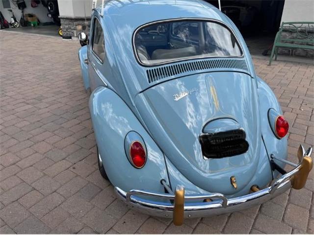 1964 Volkswagen Beetle (CC-2101138) for sale in Cadillac, Michigan