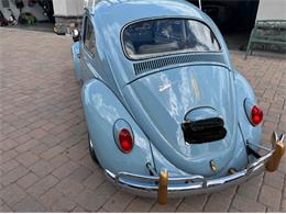1964 Volkswagen Beetle (CC-2101138) for sale in Cadillac, Michigan
