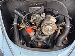1964 Volkswagen Beetle (CC-2101138) for sale in Cadillac, Michigan