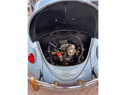 1964 Volkswagen Beetle (CC-2101138) for sale in Cadillac, Michigan