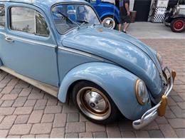 1964 Volkswagen Beetle (CC-2101138) for sale in Cadillac, Michigan