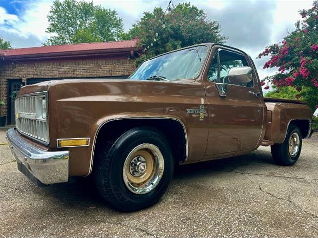1981 Chevrolet Scottsdale (CC-2101145) for sale in Cadillac, Michigan
