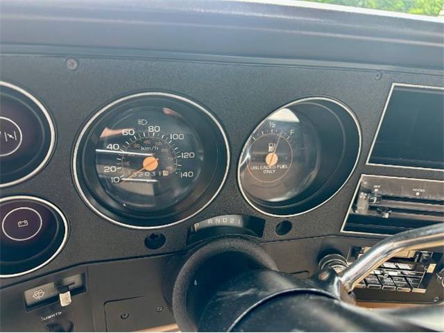 1981 Chevrolet Scottsdale (CC-2101145) for sale in Cadillac, Michigan