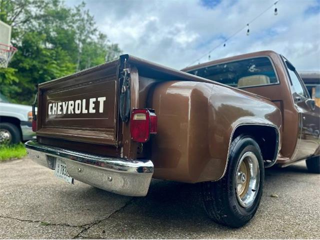 1981 Chevrolet Scottsdale (CC-2101145) for sale in Cadillac, Michigan