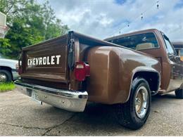 1981 Chevrolet Scottsdale (CC-2101145) for sale in Cadillac, Michigan