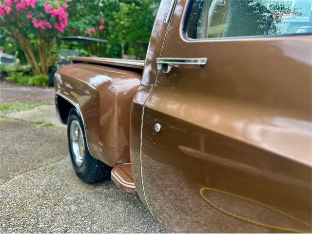 1981 Chevrolet Scottsdale (CC-2101145) for sale in Cadillac, Michigan