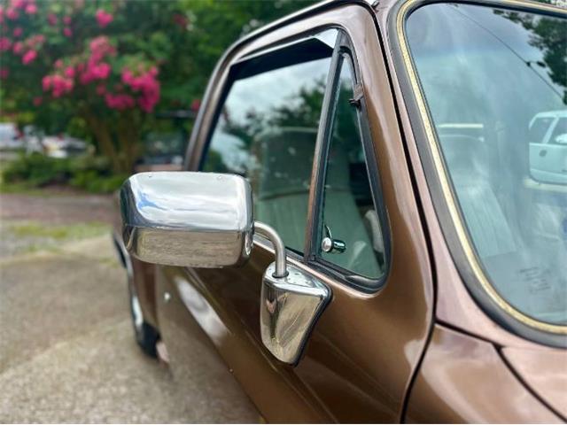 1981 Chevrolet Scottsdale (CC-2101145) for sale in Cadillac, Michigan