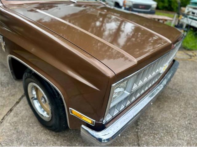 1981 Chevrolet Scottsdale (CC-2101145) for sale in Cadillac, Michigan