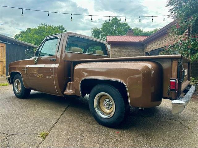 1981 Chevrolet Scottsdale (CC-2101145) for sale in Cadillac, Michigan
