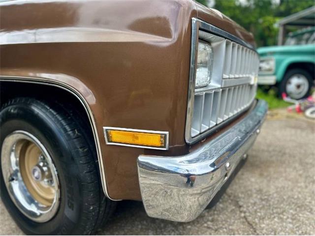 1981 Chevrolet Scottsdale (CC-2101145) for sale in Cadillac, Michigan