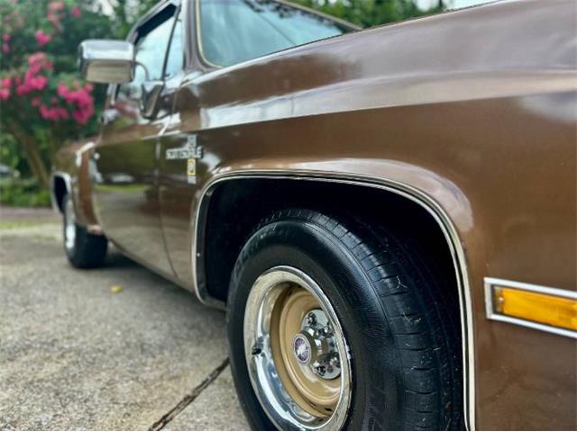 1981 Chevrolet Scottsdale (CC-2101145) for sale in Cadillac, Michigan