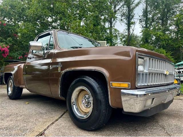 1981 Chevrolet Scottsdale (CC-2101145) for sale in Cadillac, Michigan