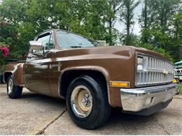 1981 Chevrolet Scottsdale (CC-2101145) for sale in Cadillac, Michigan