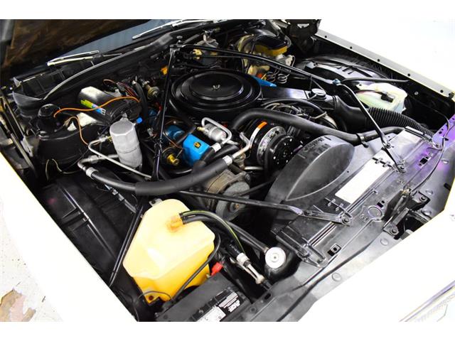 1981 Cadillac Coupe DeVille (CC-2101208) for sale in Wayne, Michigan