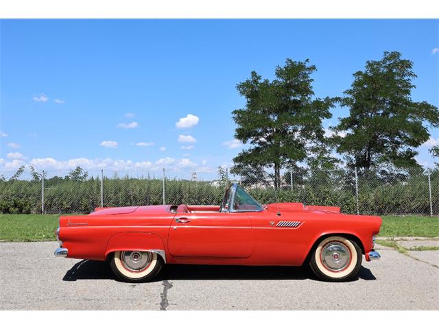 1955 Ford Thunderbird (CC-2101212) for sale in Astoria, New York