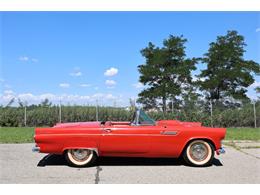 1955 Ford Thunderbird (CC-2101212) for sale in Astoria, New York