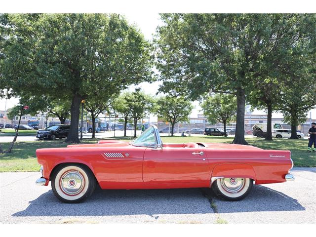 1955 Ford Thunderbird (CC-2101212) for sale in Astoria, New York