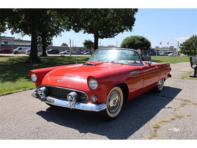 1955 Ford Thunderbird (CC-2101212) for sale in Astoria, New York