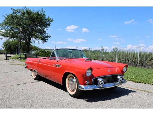 1955 Ford Thunderbird (CC-2101212) for sale in Astoria, New York