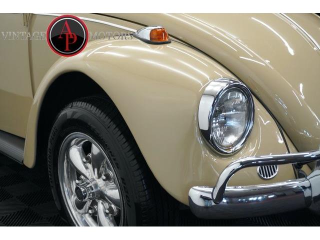 1967 Volkswagen Beetle (CC-2101238) for sale in Statesville, North Carolina