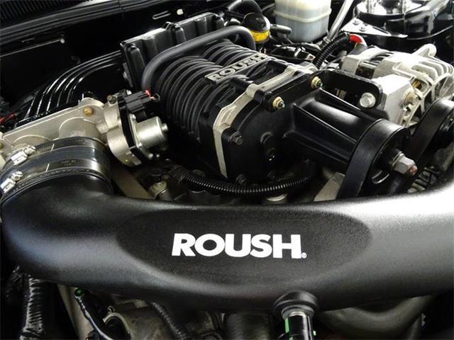 2005 Ford Mustang (CC-2101248) for sale in Hilton, New York