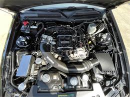 2005 Ford Mustang (CC-2101248) for sale in Hilton, New York