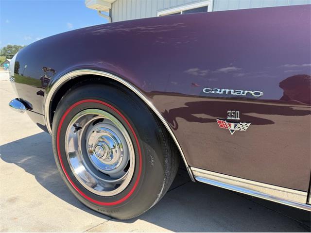 1967 Chevrolet Camaro RS/SS (CC-2101254) for sale in Greene, Iowa