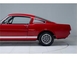 1966 Shelby GT350 (CC-2101257) for sale in Halton Hills, Ontario