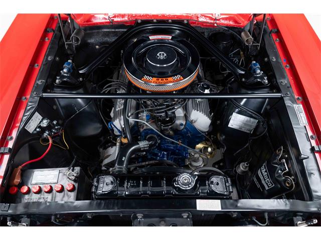 1966 Shelby GT350 (CC-2101257) for sale in Halton Hills, Ontario